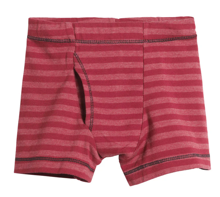 Boys Soft Stripe Boxer Brief | Red - Drispect