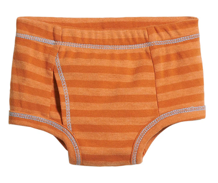 Boys Striped Briefs-Seconds| Damage - Orange - Drispect