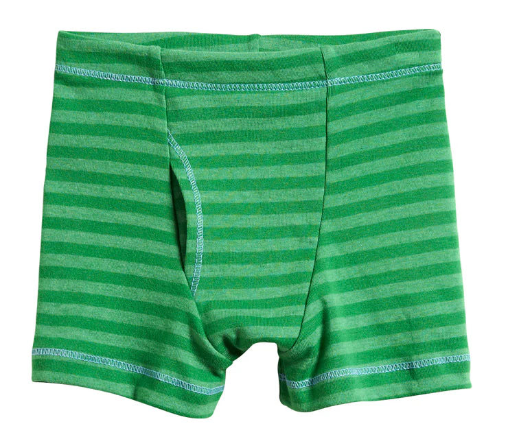 Boys Soft Stripe Boxer Brief | Elf Green - Drispect