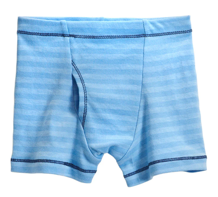 Boys Soft Stripe Boxer Brief | Bright Light Blue - Drispect